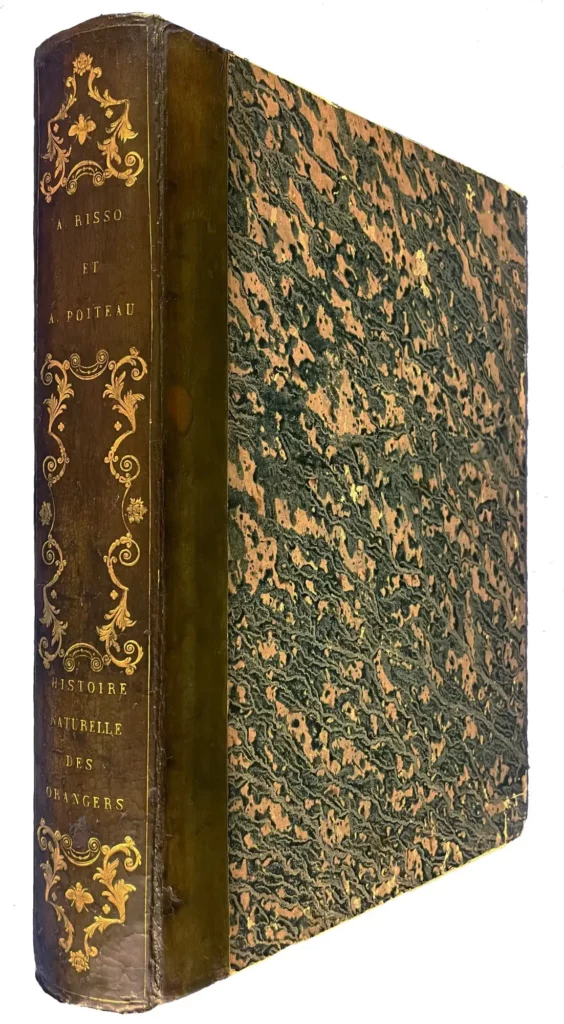 Histoire Naturelle des Orangers-Risso et Poiteau-reliure